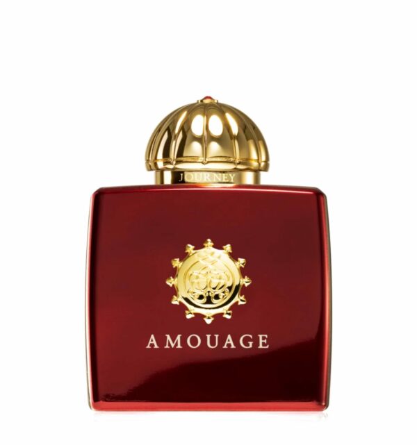 JOURNEY WOMAN EDP 100ML (SCATOLATO) - immagine 2